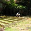 Deck Project