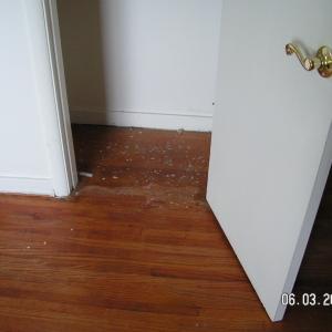 Hardwood Flooring
