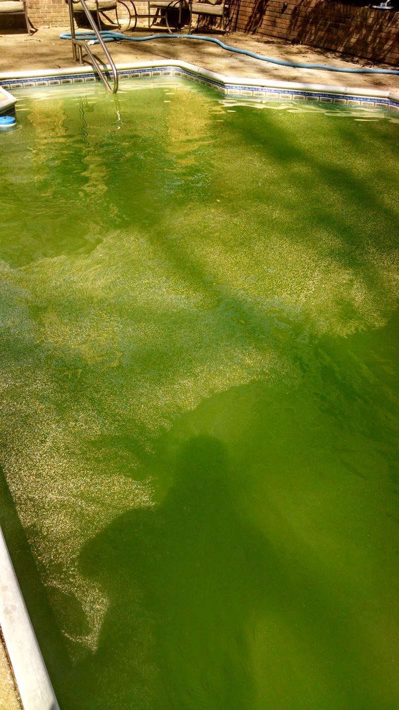 pool